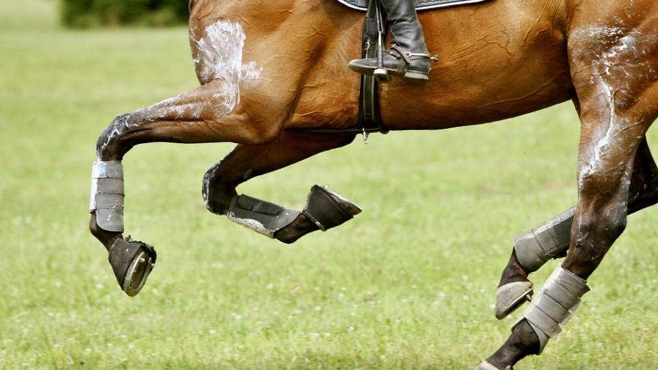 Jaroslav Abík dokončil kros při CCI1* Strzegom