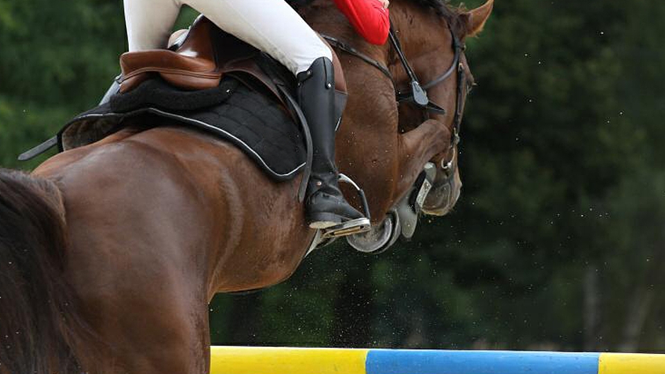 Skokové závody CSI v Kronenbergu s českou účastí
