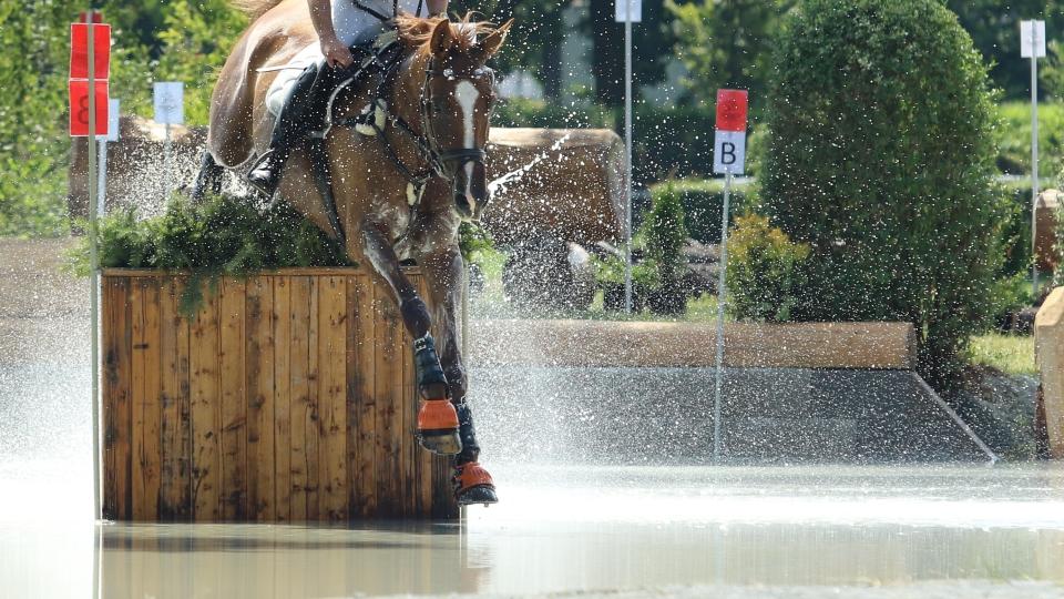 Johnstone vítězem listopadového CCI4* v Adelaide