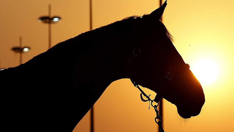 Ohlédnutí za GCT 2017 ve fotogalerii S. Grassa