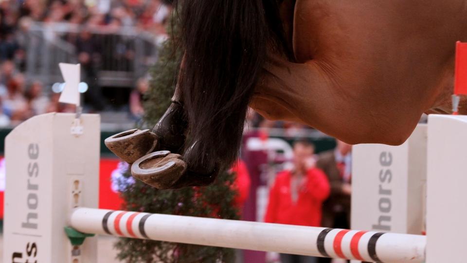 Šobichová zahájila CSI Opglabbeek čistými výsledky