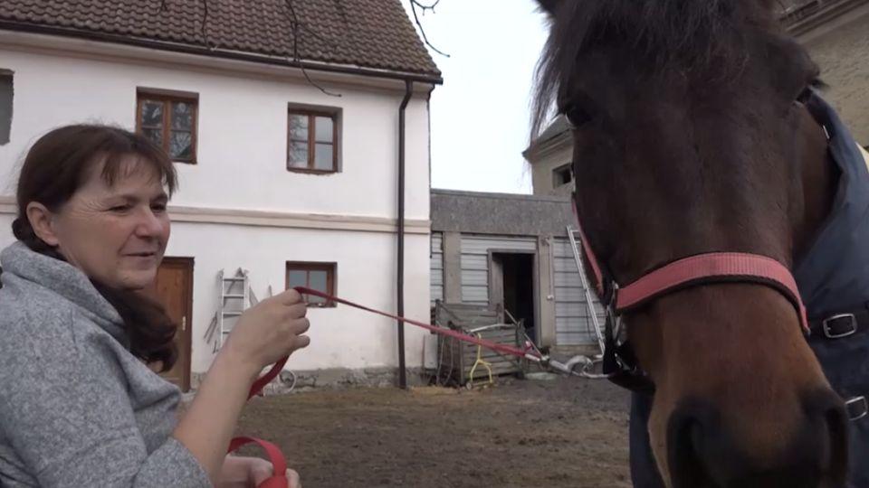 Video rozhovor s Helenou Terberovou