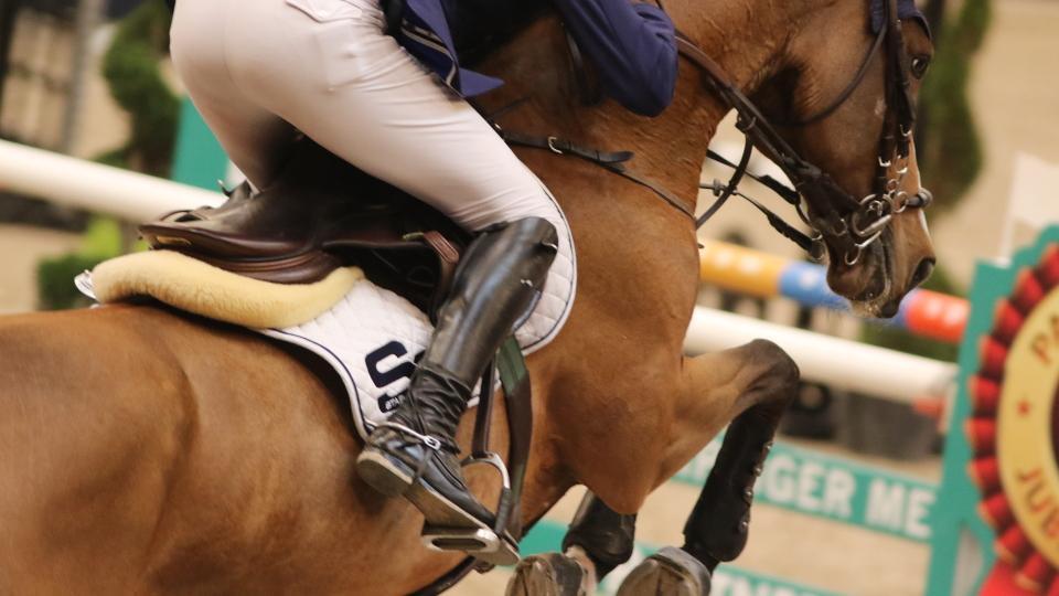 Francouz Delaveau vítězem GP v Hong Kongu