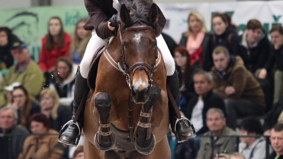 CSI Braunschweig s českou účastí