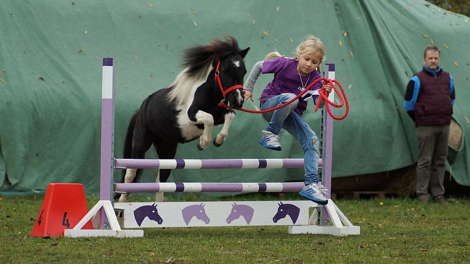 Bohatý doprovodný program veletrhu For Horse 2018