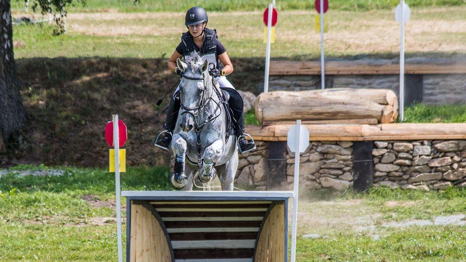 Z Jezdeckého katalogu 2018: 53. Zlatá podkova
