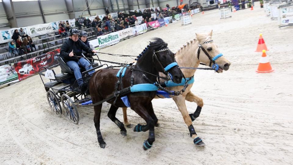 JF 2018: Hobby dvojspřeží pro Pospíšilovou