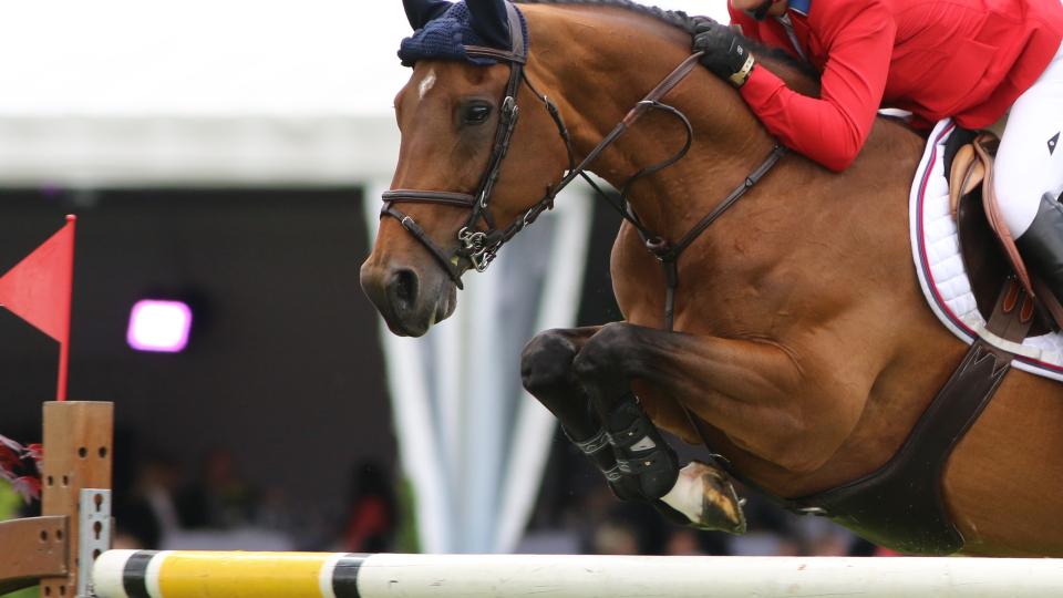 Grand Prix v St. Gallen pro Lucianu Diniz
