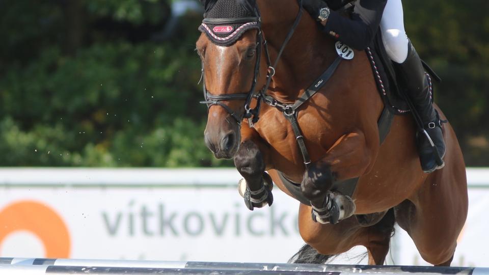 Čtvrteční starty Šobichové při CSI Bonheiden