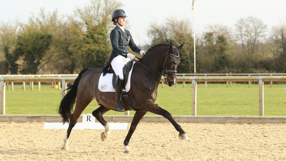 Páteční dění při CDI v britském Hartpury