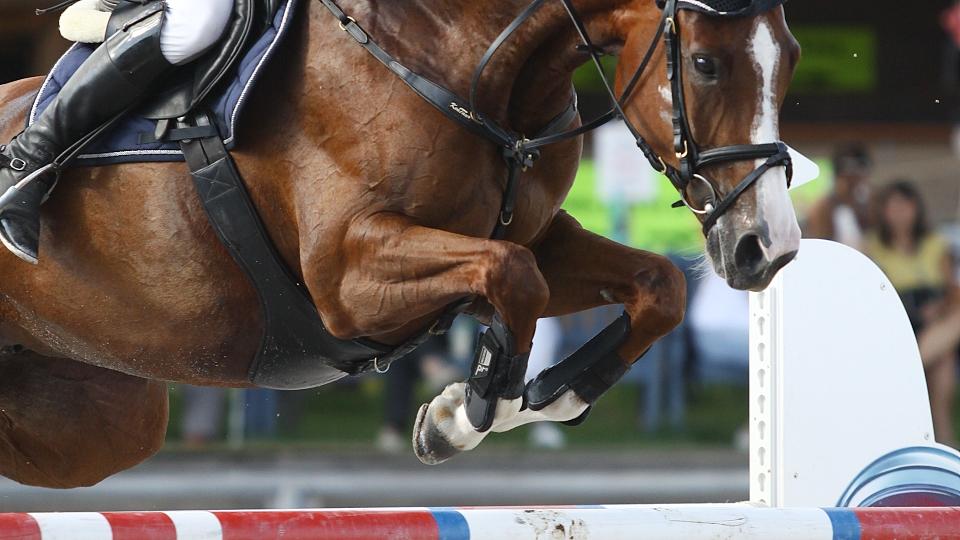 Summer Jumping Festival generálkou před MČR