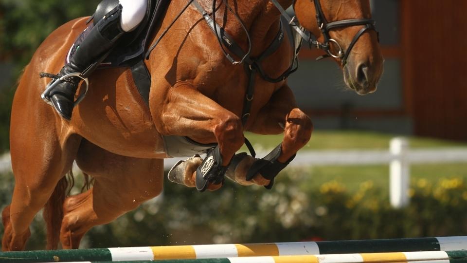 Malý zakončil CSI Opgalabbeek třetím místem
