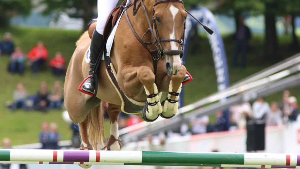 Rolex Grand Prix při CHIO v Cáchách zůstal doma