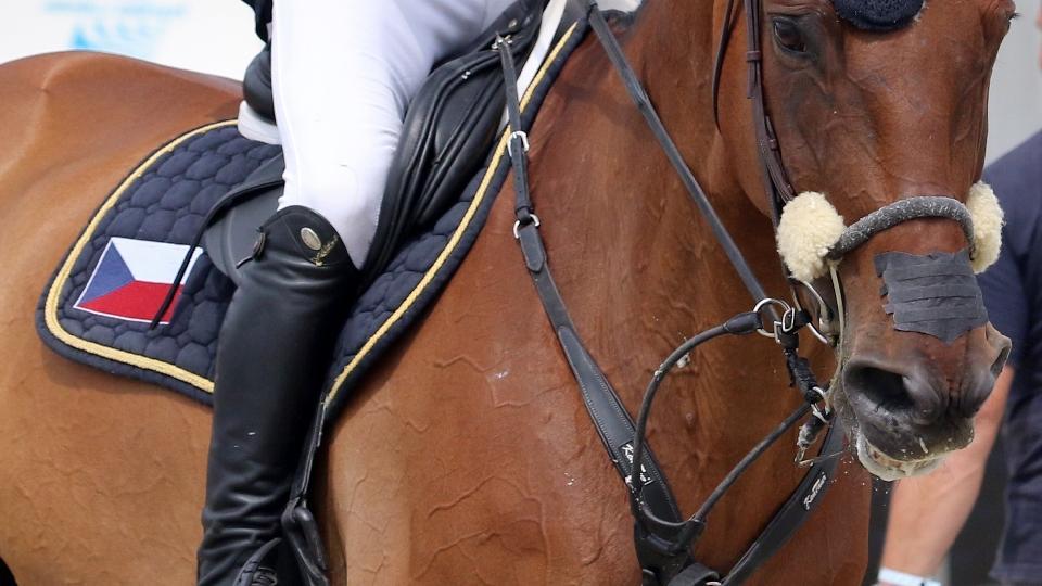 Šobichová se představí na CSI v belgickém Lieru