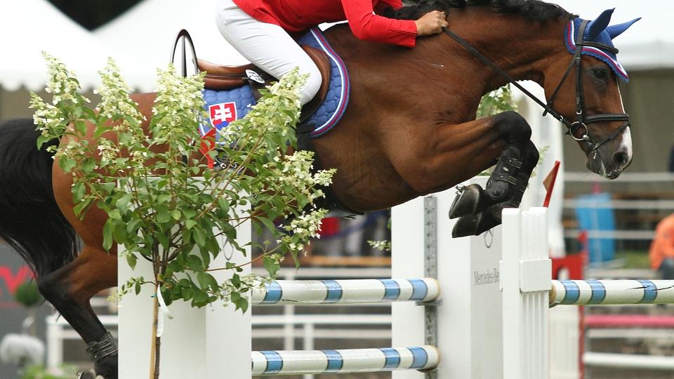 Jezdecké dění na Slovensku v 29. a 30. týdnu 2018