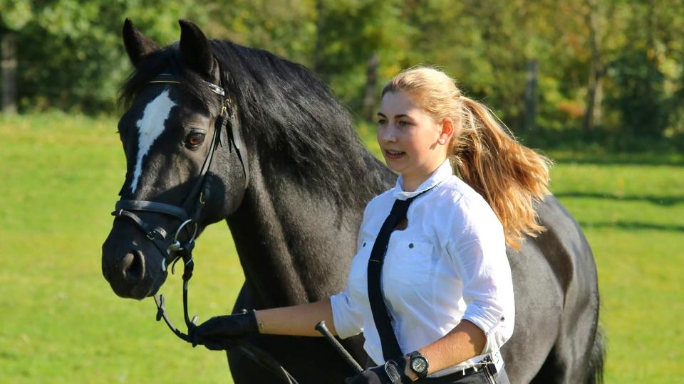 Výstava českých sportovních pony již podruhé