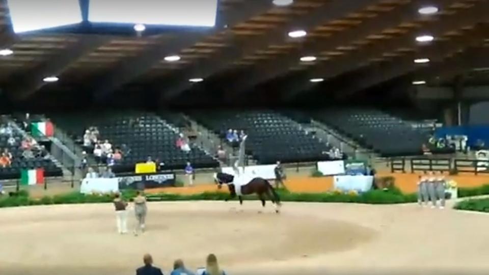 Česká voltižní skupina v úvodu WEG Tryon sedmá