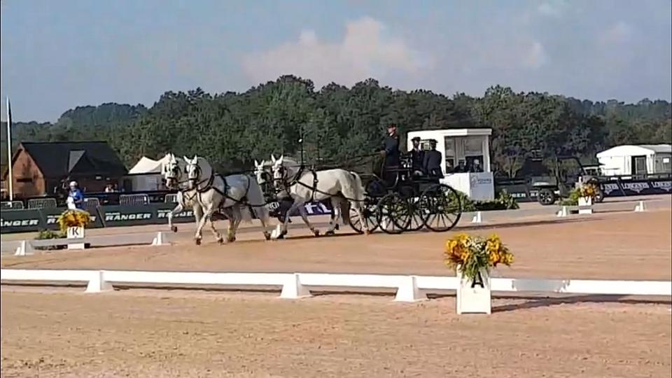 Jiří Nesvačil junior zahájil WEG Tryon v drezuře