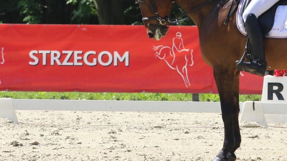 Úspěšní Češi při národních soutěžích ve Strzegomi