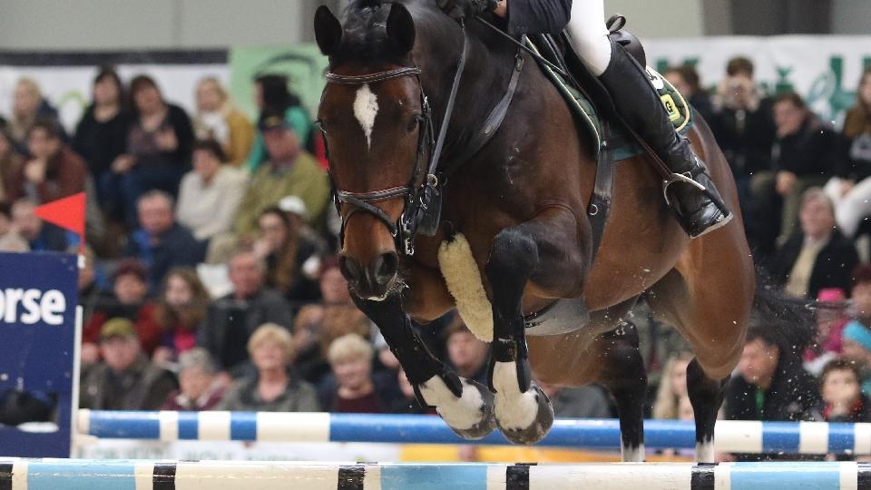 Šestá příčka Malého při CSI Kronenberg