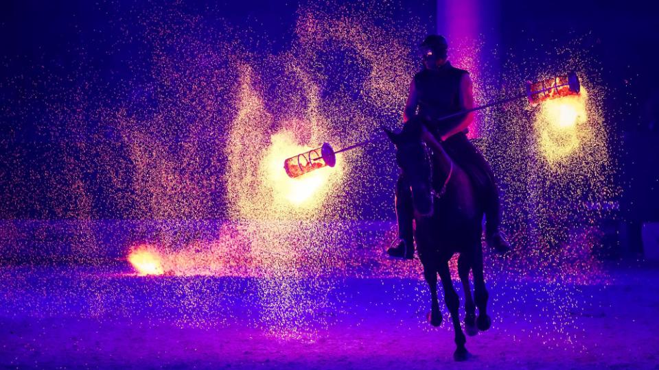 Pohled na italskou Fieracavalli 2018