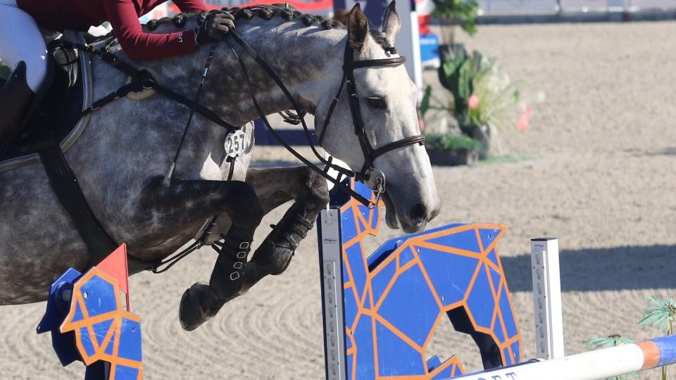 Zvára druhý při podzimní túře v Ebreichsdorfu