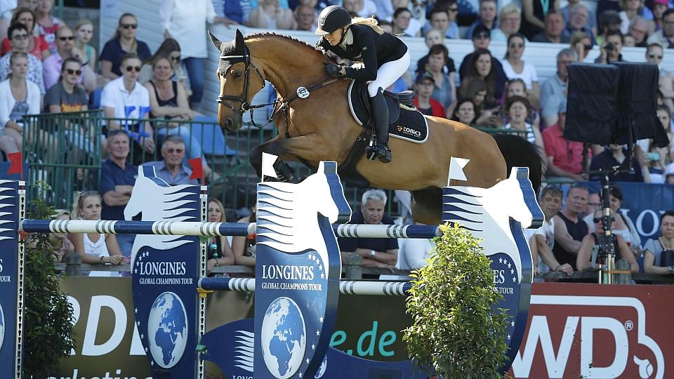 Catch Me If You Can nově v Czech Equestrian Teamu