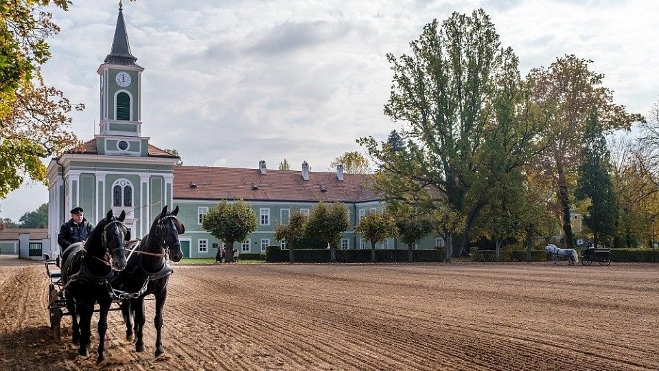 NH Kladruby pokračuje v autentické obnově areálu