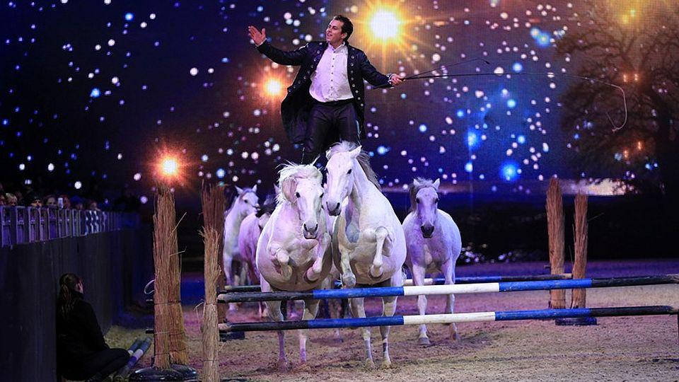 Equitana nabídne další novou podobu Hop Top Show