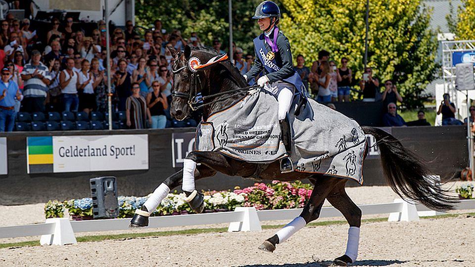 MS 2019: Mladé drezurní koně přivítá Ermelo