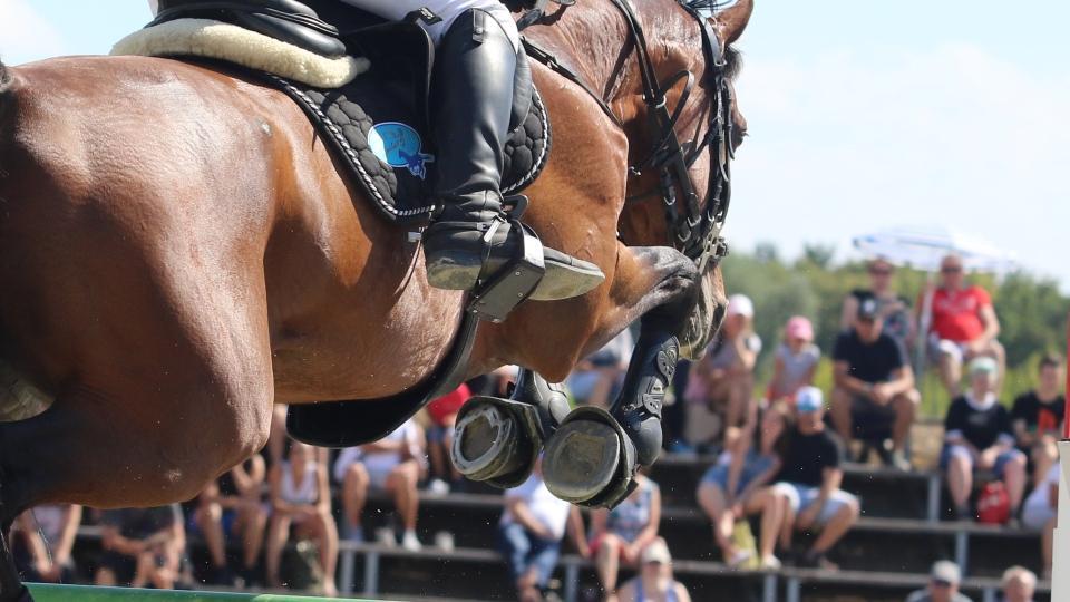 Klus v Ciekocinku vítězem finále Silver Tour a sedmý v Gold Tour