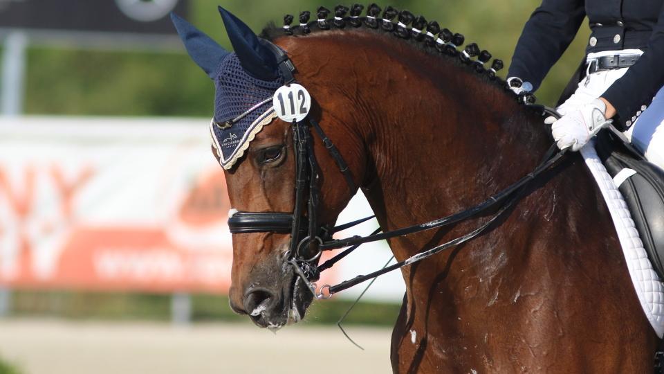 Eva Jančaříková a Iffendic v sobotu v Ranshofenu za 74 procent