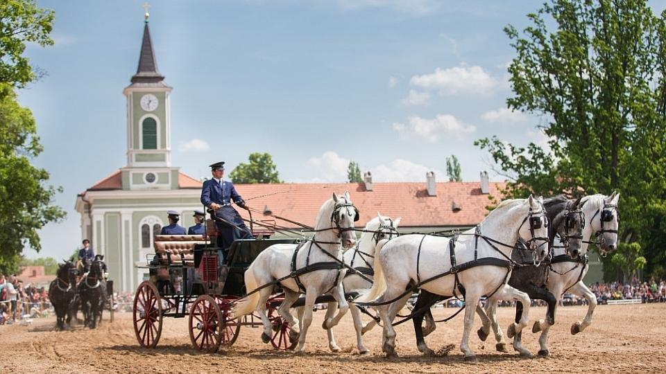 Národní hřebčín v Kladrubech byl zařazen na seznam památek UNESCO