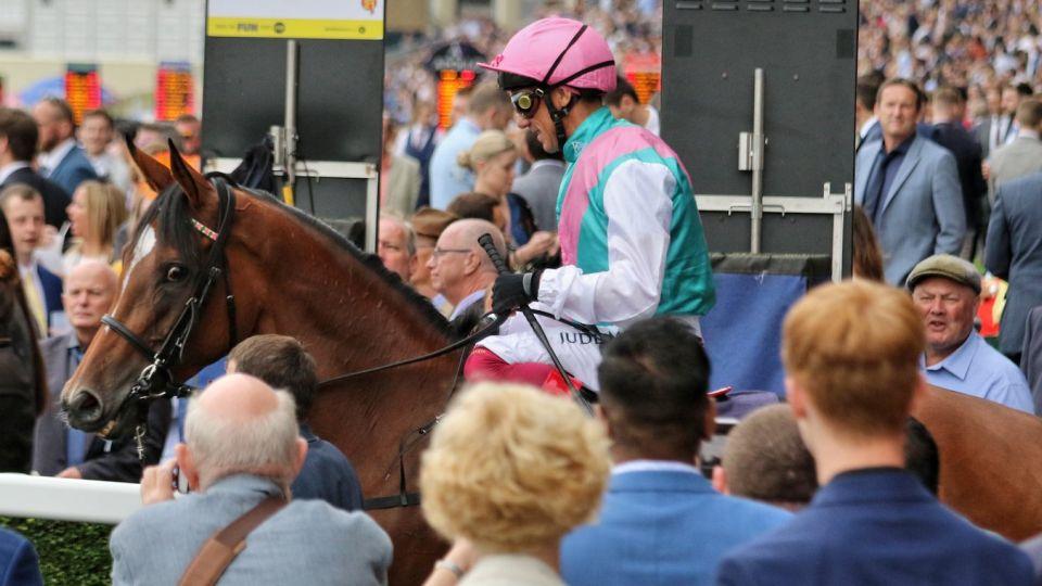 Enable a Frankie Dettori to dokázali. Dali Anglii vítězné sbohem