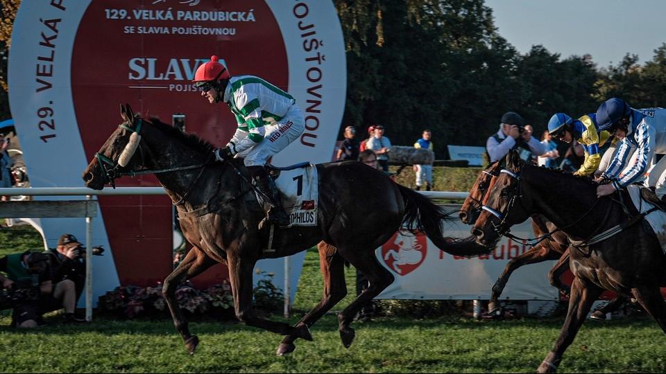 Fantastický Theophilos vyhrál Velkou pardubickou, Bartoš má hattrick
