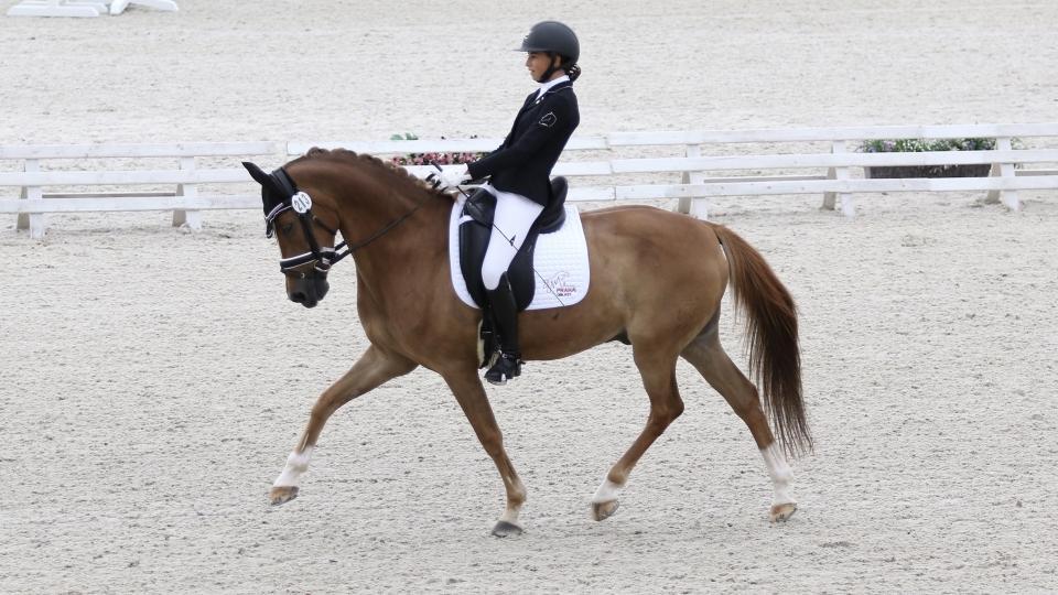 Strzegom bude hostit mistrovství Evropy pony ve třech disciplínách