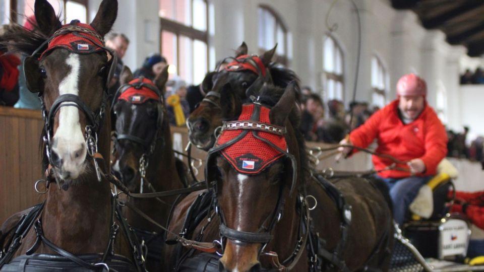 Vlašic a Domes zářili při Zimním poháru v Brně. Hrouda byl těsně druhý