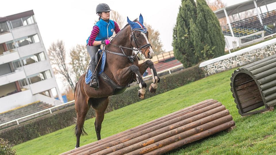 Akce ruší i Pardubice. Veřejný trénink se neuskuteční
