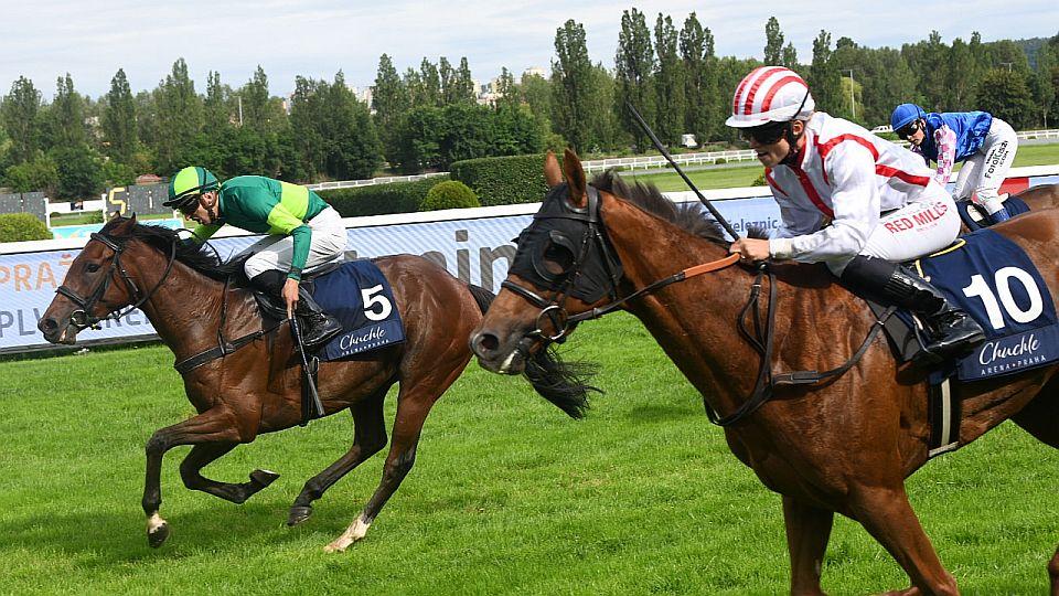 Equinews: Dostihy opět s publikem. Červnový handicap pro Storm De Nuit