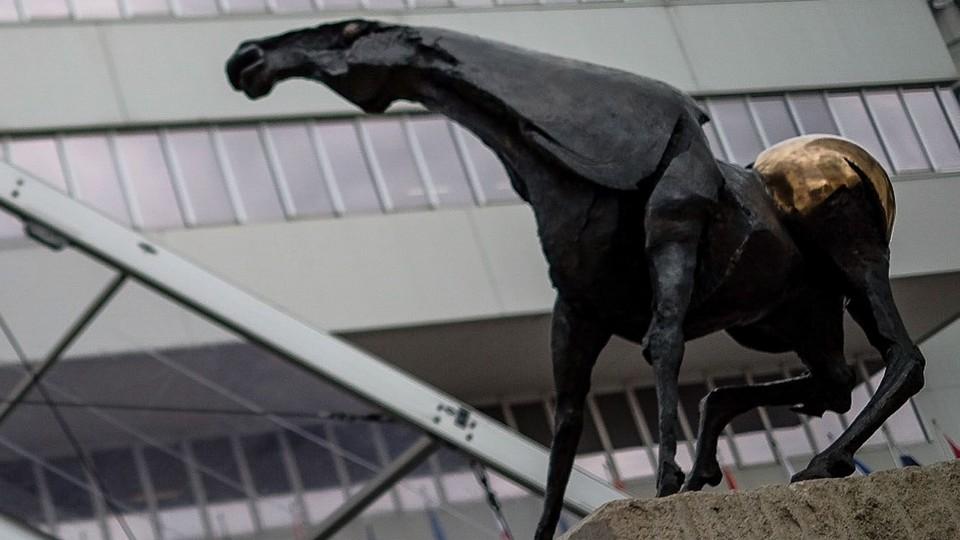 Fieracavalli proběhne ve dvou termínech. Chce rozptýlit 160 tisíc lidí