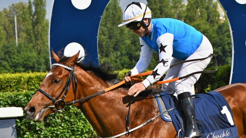 Equinews: Opasan favoritem pro České derby. Klusácký hattrick Škobise