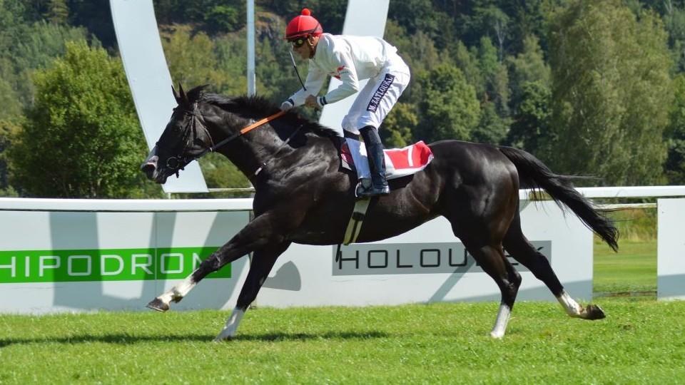 Black Canyon drží formu. Ani v Karlových Varech nenašel soupeře