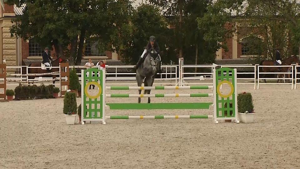 Equinews: Finále KMK v Písku. Známe mistry ČR v reiningu a workingu