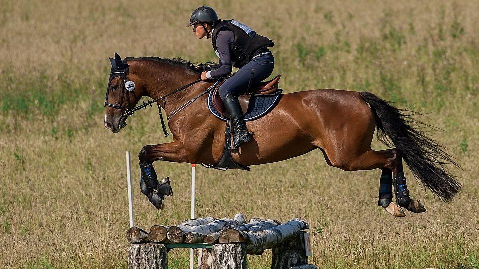 Alžběta Vyštajnová: Všestrannost vnímám jako nejvíce efektivní sport