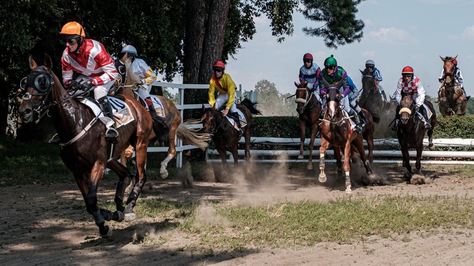 Pokles čísel i generační problém. Tak slábnou české překážkové dostihy