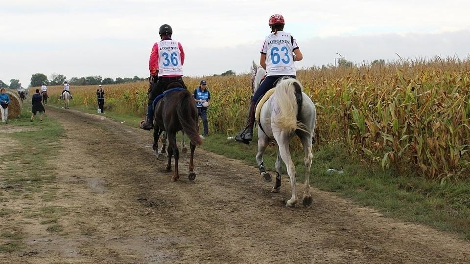 Výjimečný trest za týrání koně zrušen. Je to velké zklamání, zní z FEI