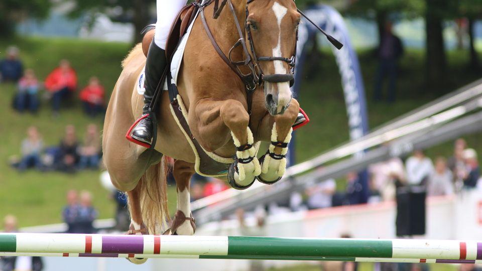 Z evropské divize 1 Poháru národů moc nezůstalo. Nebude ani Falsterbo