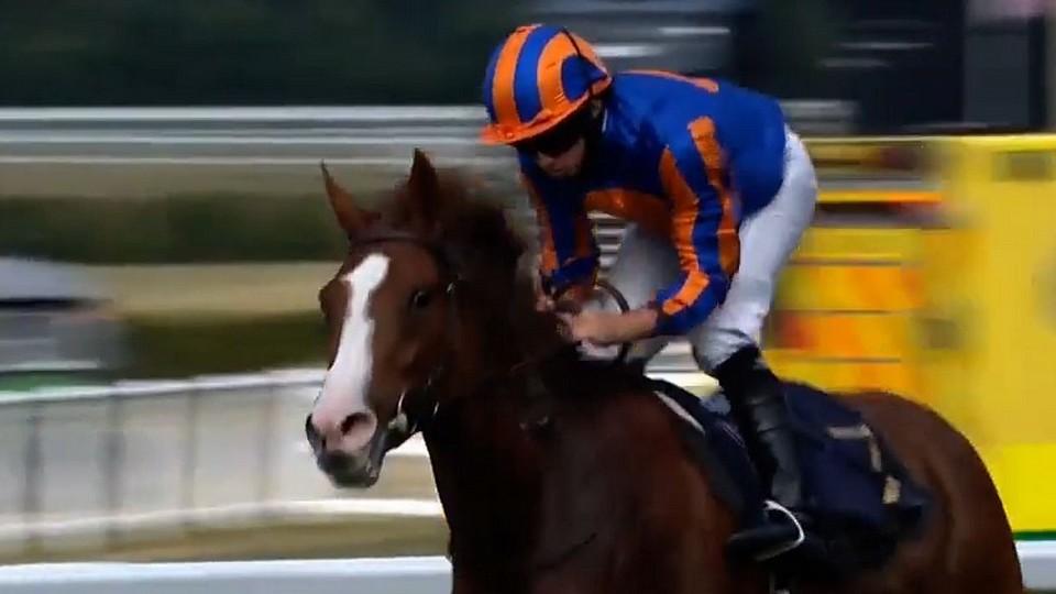 Love očarovala Royal Ascot. Teď může prakticky kamkoli, mlží O'Brien
