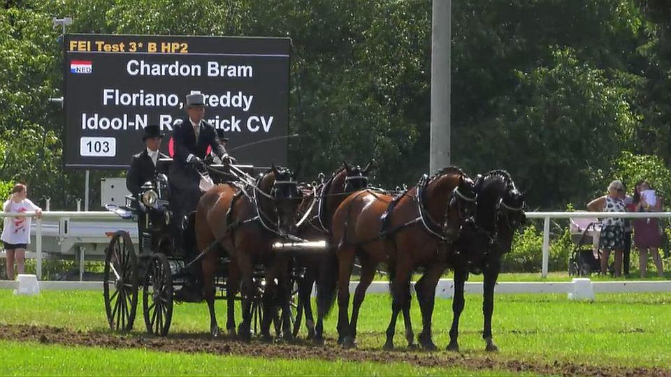 Bram Chardon plní v Nebanicích roli favorita. Vyhrál drezurní zkoušku
