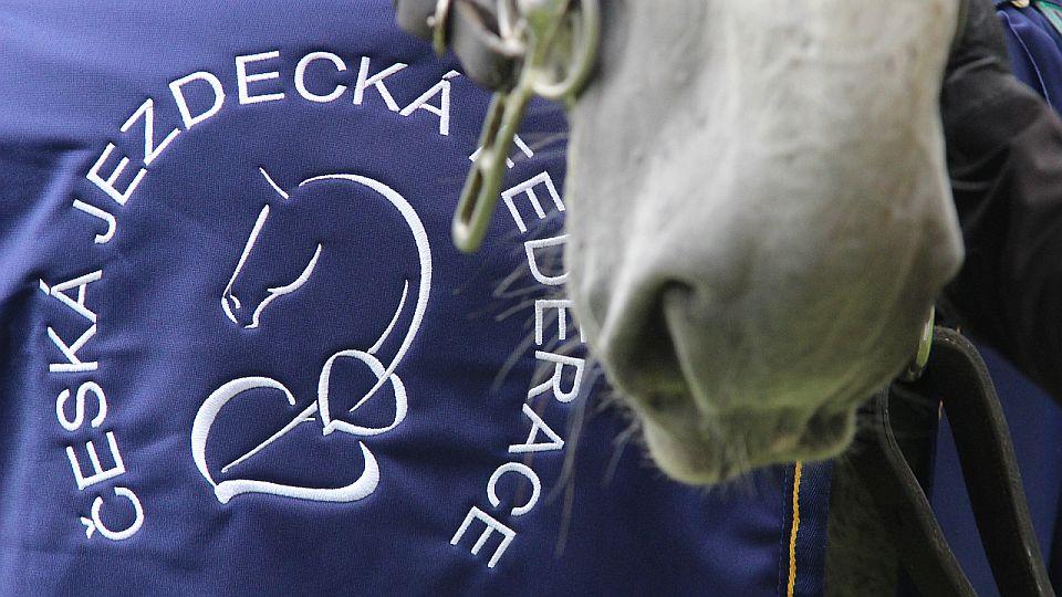 Živě: On-line debata o budoucnosti ČJF. Kdo vyvede spolek z krize